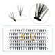 thumbnail image 1 of B&Qaugen Easy Fan Volume Lashes C-0.03-17 B&Qaugen Easy Fan Lashes 0.03 Extensiones de pestañas C Curl Mega Lash Extension Negro mate B&Q Easy Volume Fan Lashes 9 a 25 mm (C-0.03,17 mm), 1 of 4