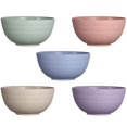 thumbnail image 1 of BPA-Free Unbreakable Bowls, Set of 5, Microwave Safe, Reusable Wheat Straw Bowl for Cereal Salad Fruit Rice Noodles, Healthy Tableware, Deep Design Prevents Splashing, Lightweight, 1 of 5
