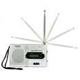 thumbnail image 3 of Birdeem Bc-R21 Antenne Télescopique Portable de Poche Am/Fm Alimentée par Batterie Récepteur Radio, 3 of 12
