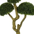 thumbnail image 2 of Nearly Natural 5ft. Five Head Boxwood Artificial Tree, UV Resistant (Indoor/Outdoor), 2 of 5