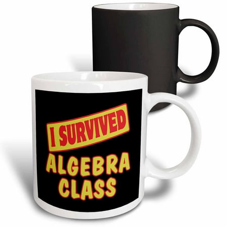 

3dRose I Survived Algebra Class Survial Pride And Humor Design Magic Transforming Mug 11oz