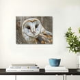 thumbnail image 4 of ONETECH Canvas Wall Art - Common Barn Owl - Modern Home Art Ready to Hang 20x16inch, 4 of 6