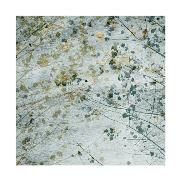 Sharon Chandler 'Seasonal Transition II' Canvas Art