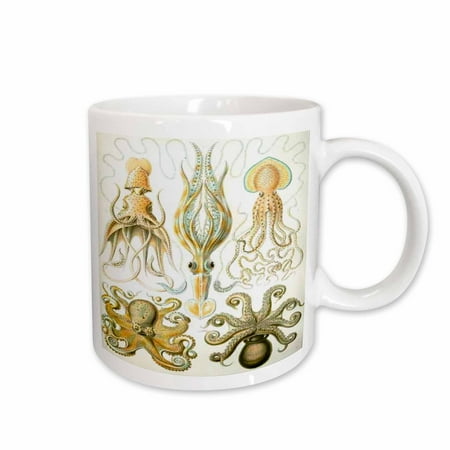 

3dRose Picture Of 1800 Drawing Of Famous Biologist Squids Ceramic Mug 15-ounce