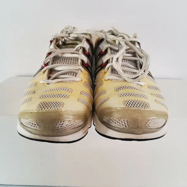 adidas gazelle silver green womens Women's adidas Ultimashow Shoes