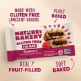 thumbnail image 3 of Nature’s Bakery Gluten Free YPF5&nbsp;Fig Bars, Raspberry, Real Fruit, Vegan, Non-GMO, Snack bar, 6 boxes with 6 twin packs (36 twin packs), 3 of 3