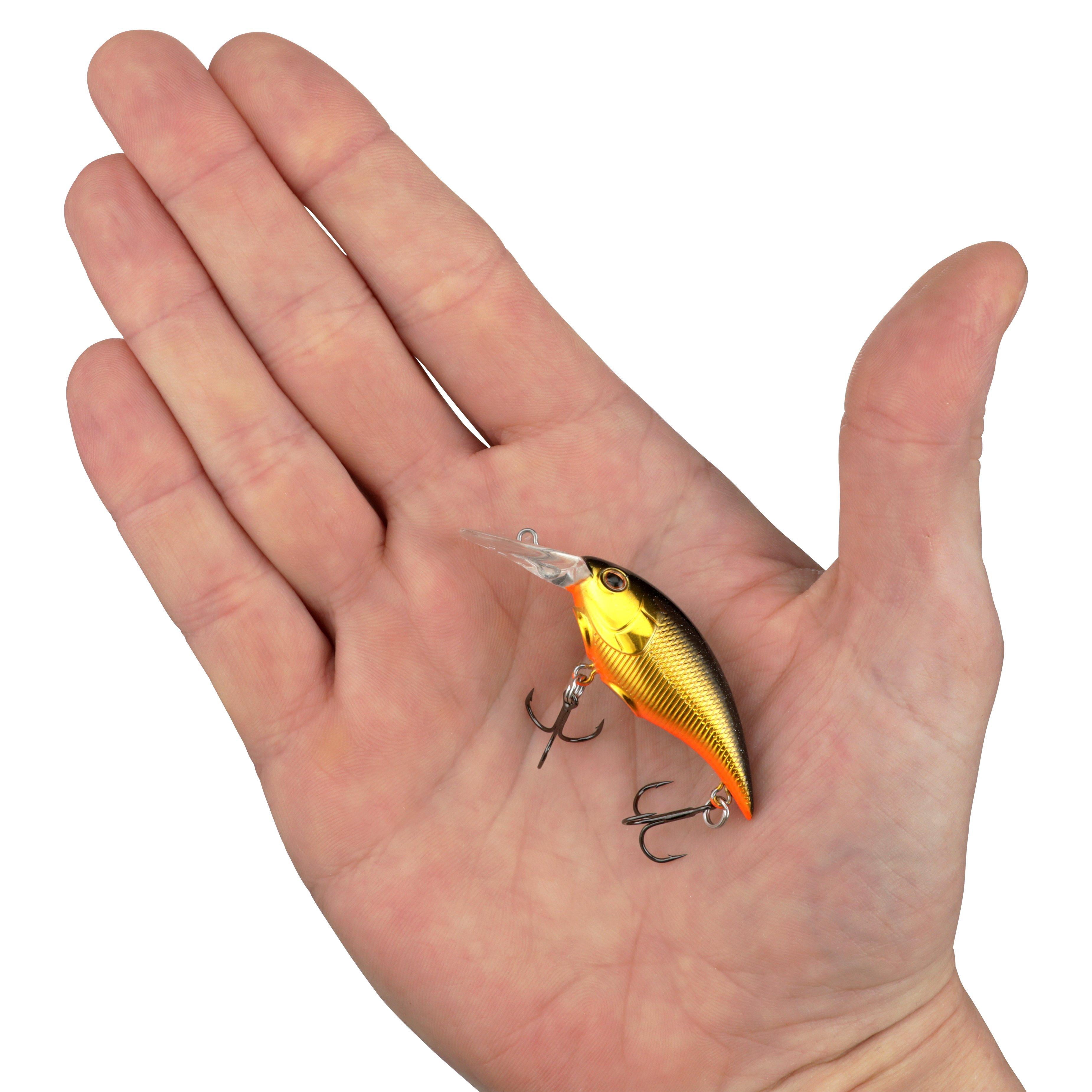 Berkley Money Badger, 4, Black Gold