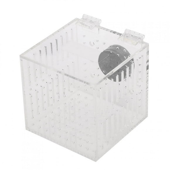 Acrylic Magnetic Aquarium Fish Breeding Isolation Box for Baby Fish Hatchery Incubator Cage
