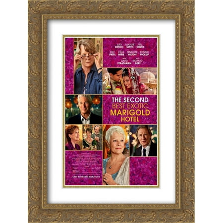 The Second Best Exotic Marigold Hotel 18x24 Double Matted Gold Ornate Framed Movie Poster Art (Best App For Hotel Prices)
