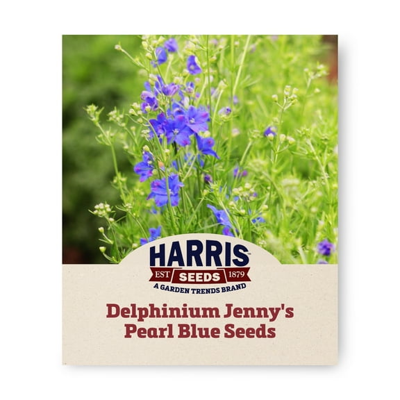 Harris Seeds - Delphinium Jenny's Pearl Blue F1 Flower Seeds - 100 Seeds