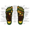 thumbnail image 5 of Foot Acupoint Massage Socks with English Graphic Design for and Comfortable Border Socks for Men Women, 5 of 5