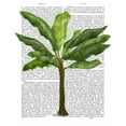 thumbnail image 2 of Fab Funky 12x14 Black Ornate Wood Framed with Double Matting Museum Art Print Titled - Banana Tree 1, 2 of 4