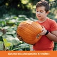 thumbnail image 4 of Rooted Promise Pumpkin Garden Kit Organic Pumpkin Seeds Kids Starter Kit with Grow Rings and Domes 2pk, 4 of 7
