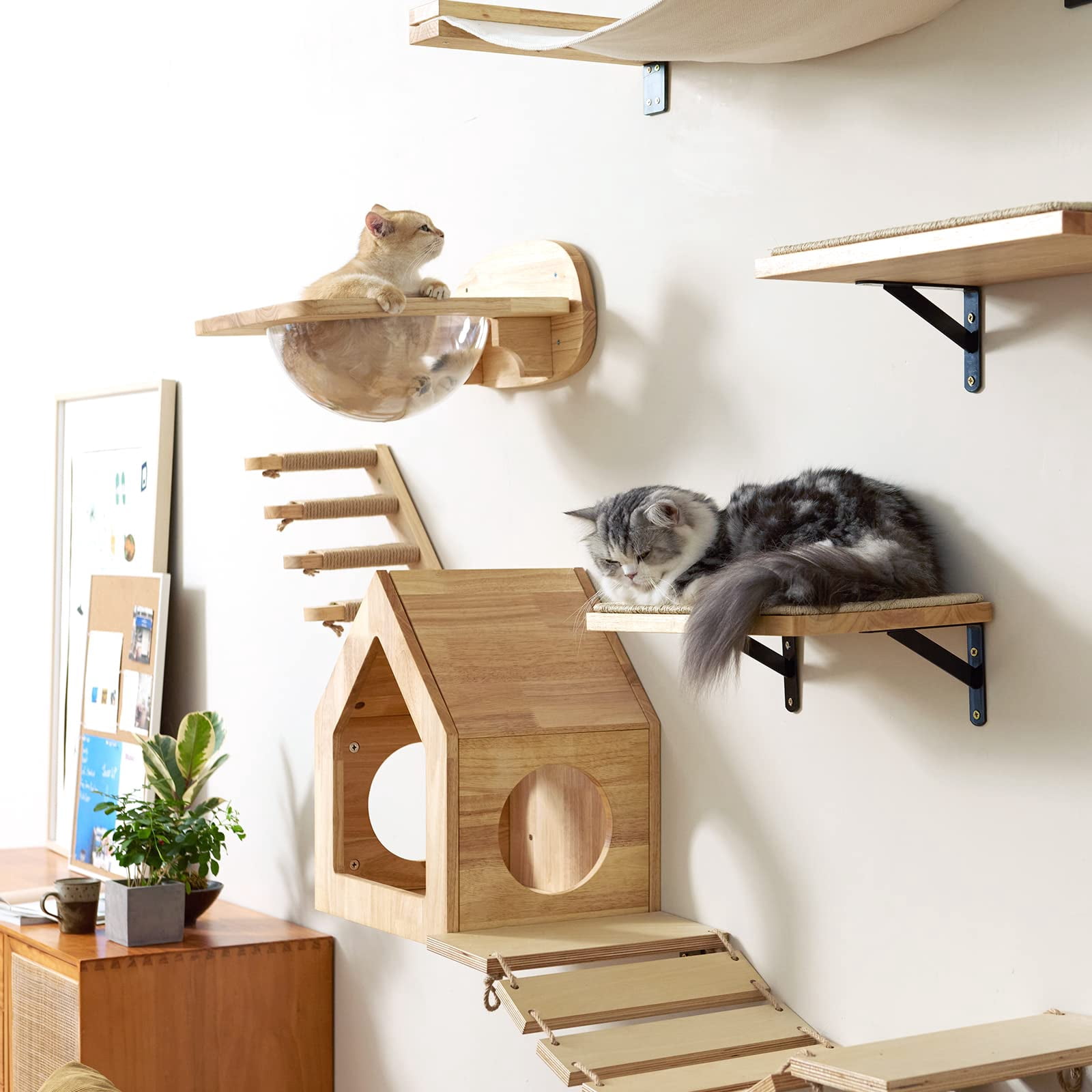 Cat Wall Perch Set With 2 Pedals, Transparent Capsule, For Sleeping Playing Climbing Lounging