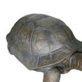 thumbnail image 3 of Walking Turtle Statue,  29.5" L Tortoise Concrete Garden Statue for Indoor or Outdoor Décor, 3 of 9