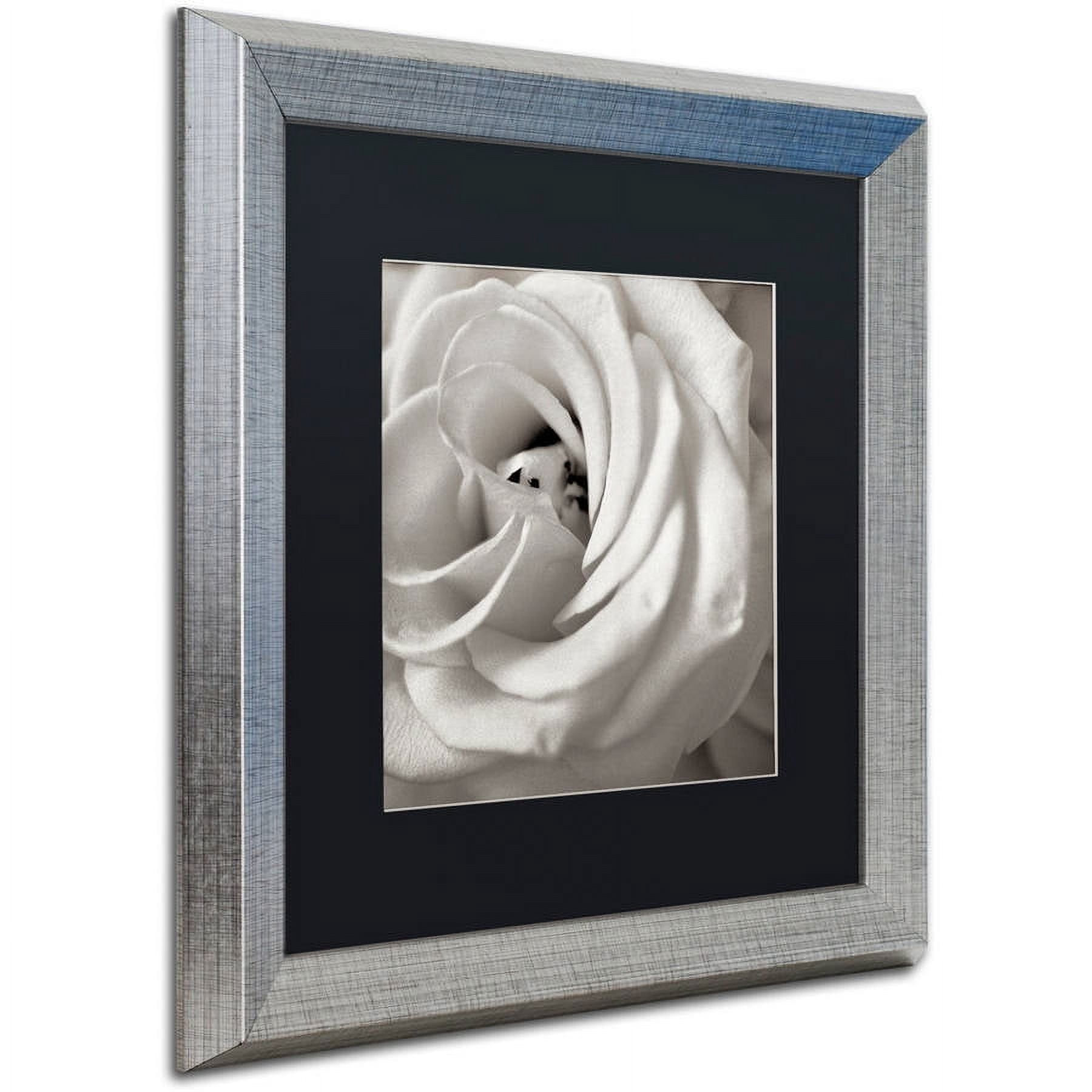 Trademark Fine Art "Florison 43" Canvas Art by Alan Blaustein, Black Matte, Silver Frame