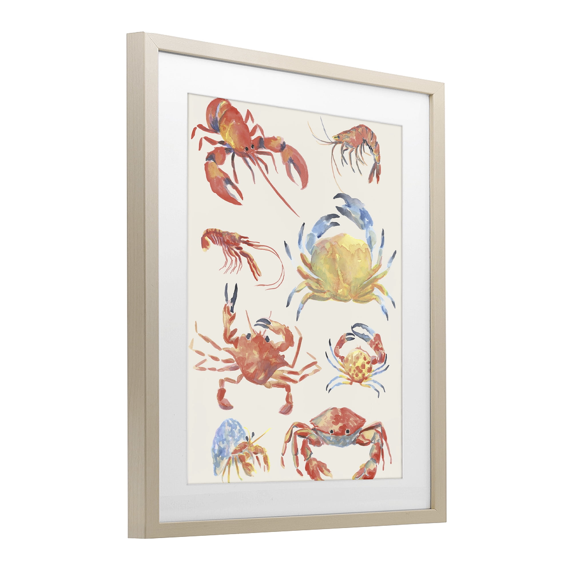 Stupell Industries Crab & Crustacean Collection Birch Framed Print Under Glass, design by June Erica Vess