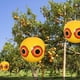 thumbnail image 3 of 2 Globos Espantapájaros Antipalomas, Pájaros, Garzas, Urracas, Avefrías y Gorriones, (Ø) 400 mm, amarillo/rojo, STOL, 3 of 5