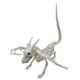 thumbnail image 2 of Dserhfy Halloween Animal Skeletons Dog Bat Frog Scorpion Spider Snake Rat Bone Skeletons for Halloween Party Haunted House Graveyard Scene Decoration, 2 of 8