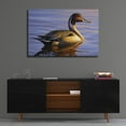 thumbnail image 4 of Epic Art 'Lone Pintail' by Mark Mueller Wildlife Art, Acrylic Glass Wall Art, 36"x24", 4 of 8