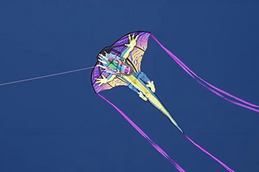 WindNSun Supersize 2-D Dragon Ripstop Nylon Dragon Kite, 65 Inches Tall