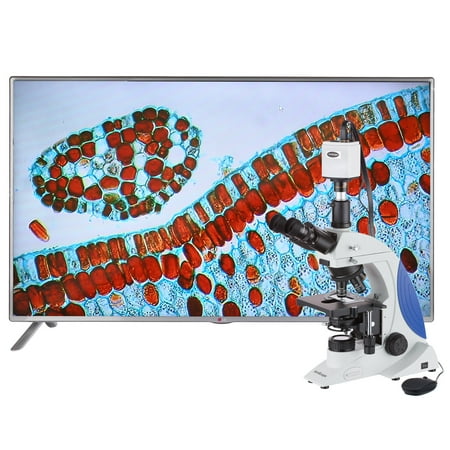 AmScope 40X-1000X Plan Infinity Kohler Laboratory Research Microscope with 1080p HDMI Camera New