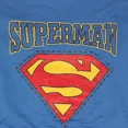 thumbnail image 4 of Ropa Perro Super Heroe Mascota Talla 5xl 6xl 7xl 8xl 9xl, 4 of 5