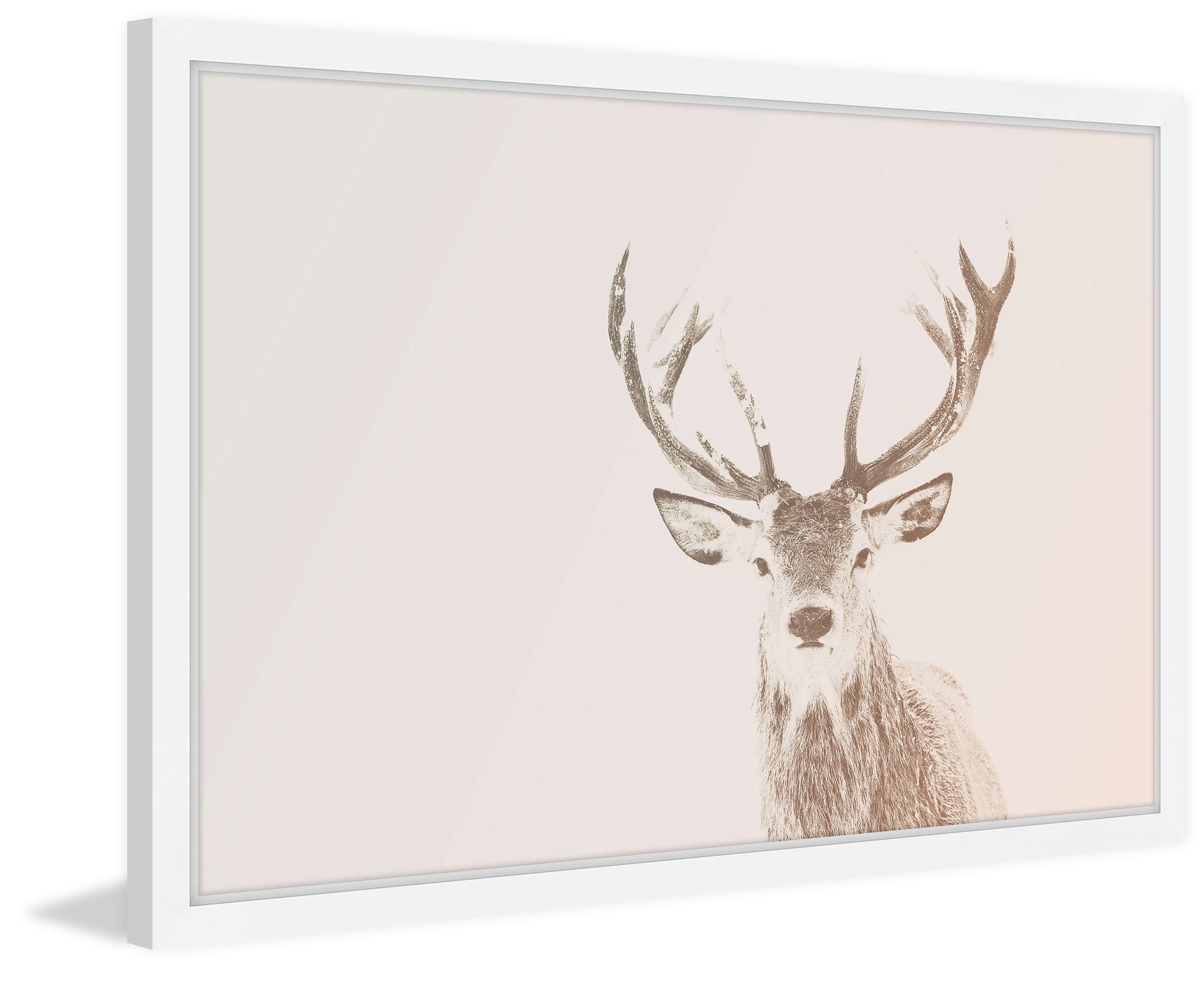 "Buck Stare 2" Framed Painting Print