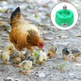 thumbnail image 4 of Pet Heat Lamp Chicken Coop Heater Temperature Adjustable Brooder Lamps for Chicken Lizard Turtle Aquarium Snake Green, 4 of 4