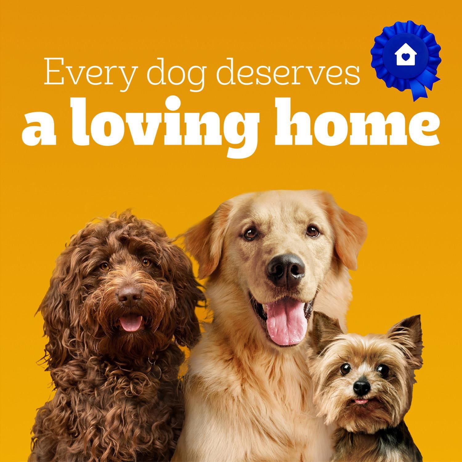 PEDIGREE Marrobone Adult Dog Treats – Bacon & Cheese Flavour with Real Bone Marrow - Vitamins Enriched, 680g Pouch