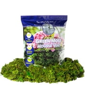 SuperMoss Preserved Green Moss, 12 Pack