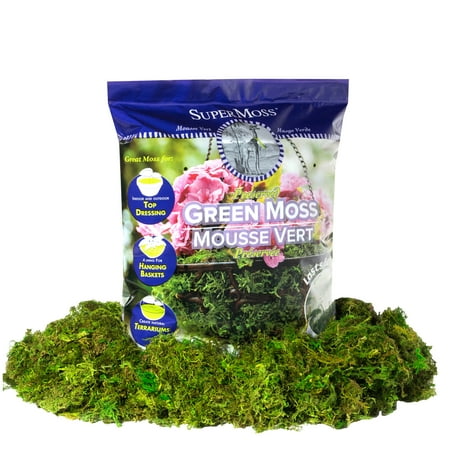 SuperMoss Preserved Green Moss, 12 Pack