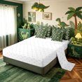 thumbnail image 4 of meiyoeat Green Dino Skeleton Full Size Bedding Sets for Boys, Wildlife Brachiosaurus Print Full Size Bed in a Bag, Reversible, 7-Piece, 4 of 6