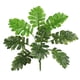 thumbnail image 1 of Naiovety Planta Artificial Hojas Boda Fiesta Evento Tela de Seda Hoja Hogar Oficina Planta Decoración Plantas Artificiales, 1 of 6