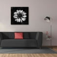 thumbnail image 3 of Epic Graffiti 'Sunny Bloom Monochrome' by Leah McLean,, 37"x37", 3 of 8