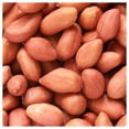 thumbnail image 3 of Everwilde Farms - 10 Virginia Jumbo Peanut Seeds - Gold Vault Jumbo Bulk Seed Packet, 3 of 5