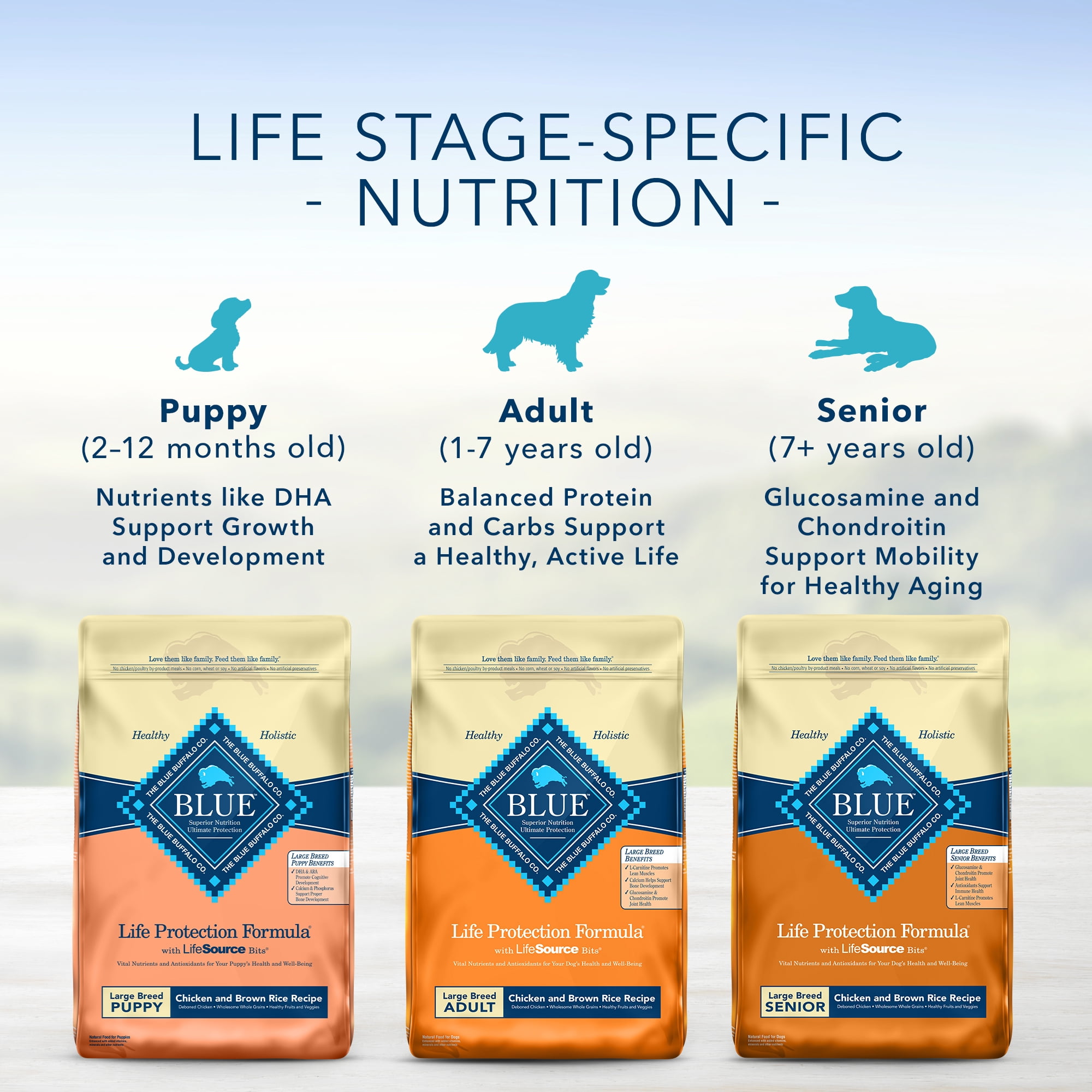 Blue buffalo dog food puppy walmart 2025
