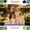 300PCS, variant on Custom Adult Jigsaw Puzzles - Personalize with Your Photos, Couple Pictures, Art Prints, Landscapes, or Pet Portraits to Capture Beautiful Moments. Made from High-quality Paper Material