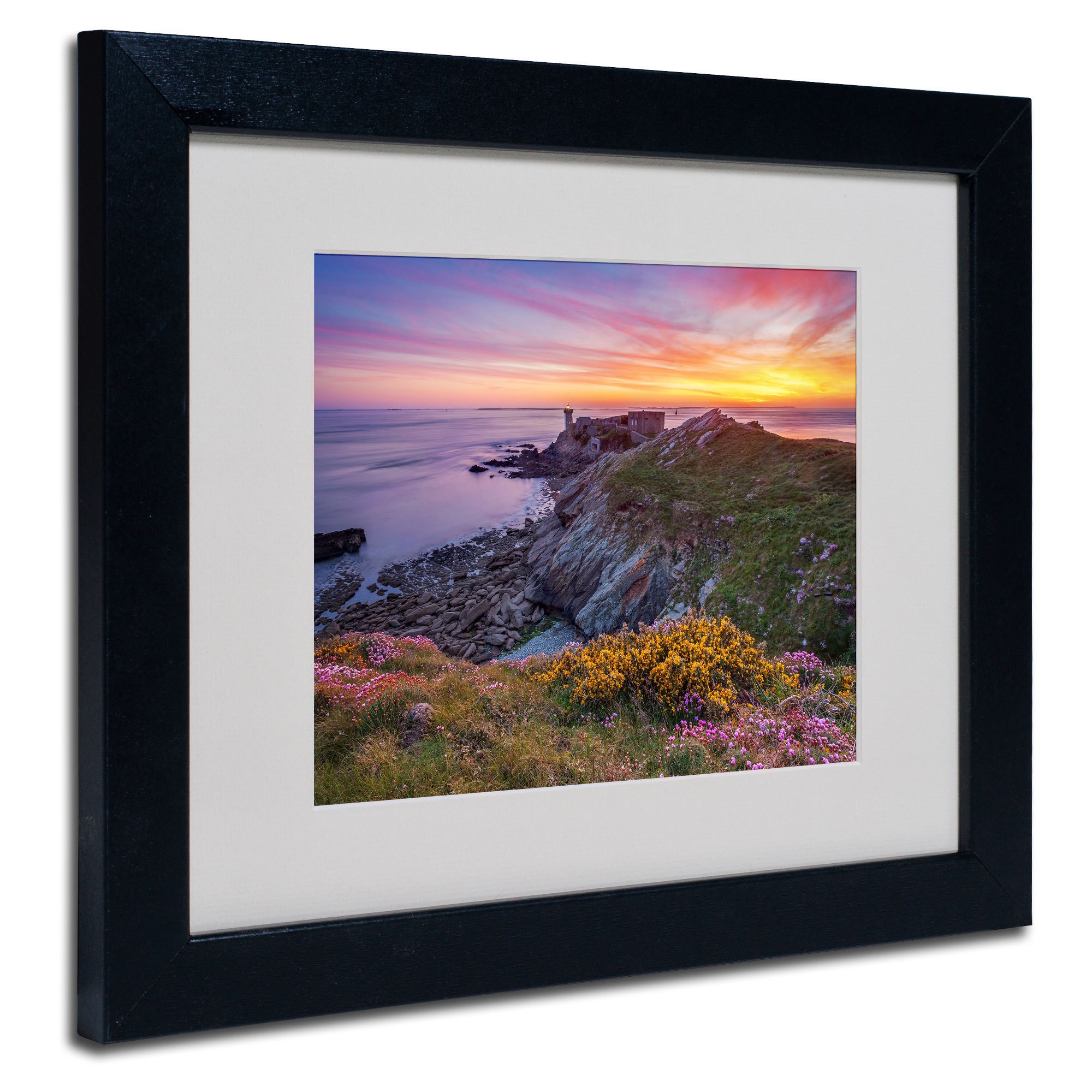 Trademark Fine Art "Brittany In Flowers" Framed Canvas Art by Mathieu Rivrin