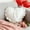 WH.White, variant on Heart Shaped Pillow Cover with Ruffle Edge & Bow - 40x50cm Pink Satin Finish Cushion Case for Sofa Bed, Romantic Home Decor & Valentine‘s Day Gift White
