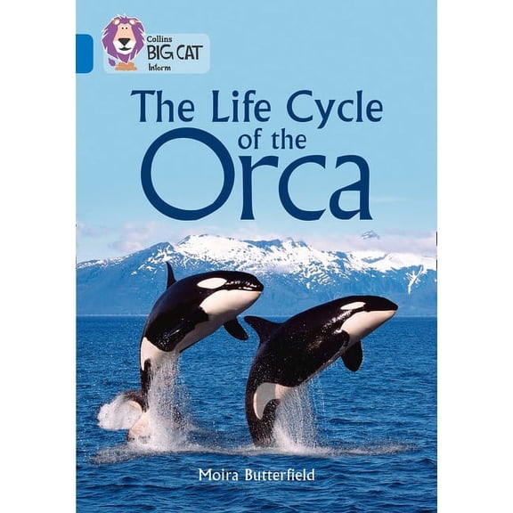 Collins Big Cat Collins Big Cat - The Life Cycle of the Orca: Band 16/Sapphire, (Paperback)