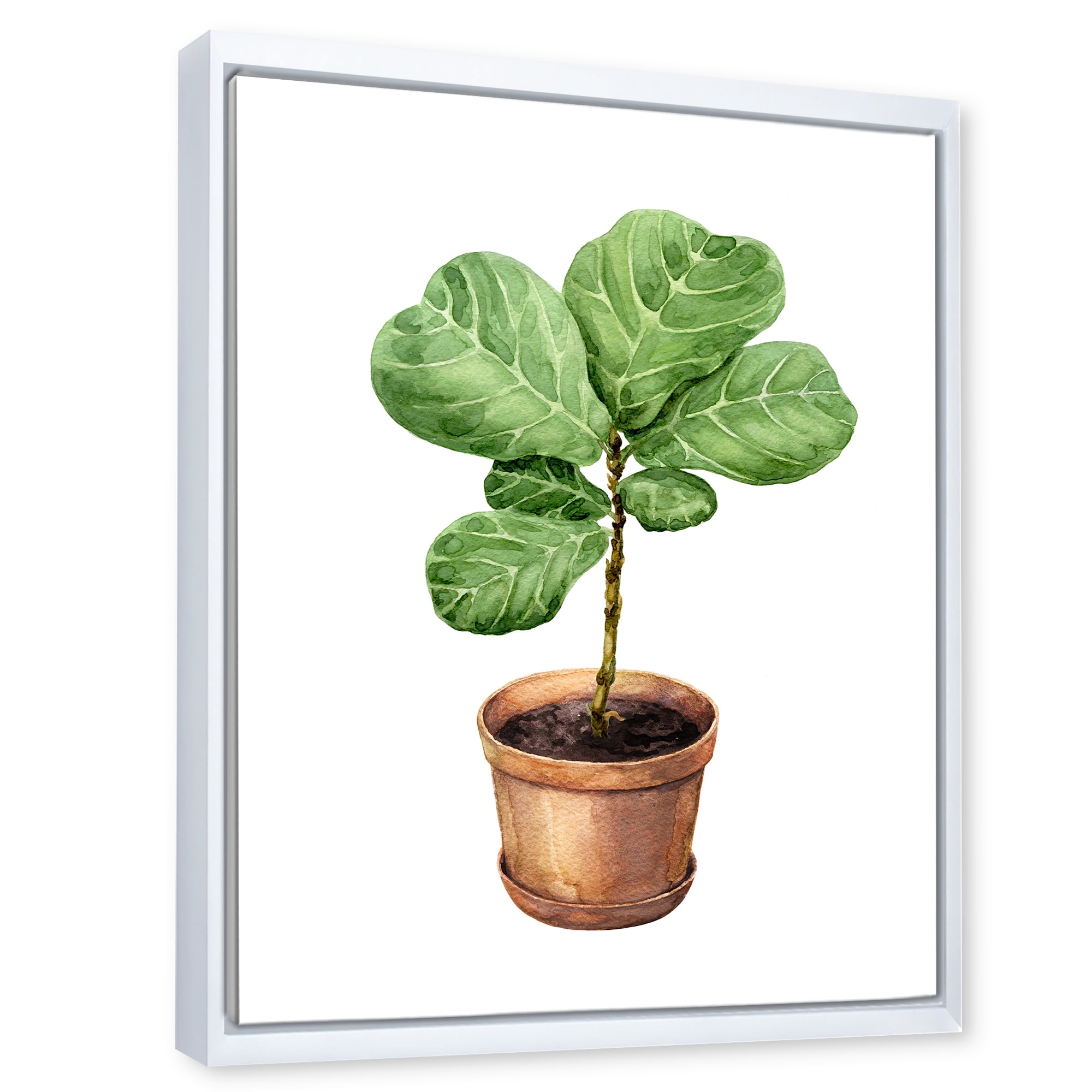 Designart 'Ficus Lyre Plant In Clay Flowerpot' Traditional Framed Canvas Wall Art Print
