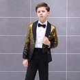 thumbnail image 2 of Vestido de lentejuelas con degradado de moda atractivo para niños, traje de actuación de piano para espectáculo en escena, traje para niño, 2 of 5
