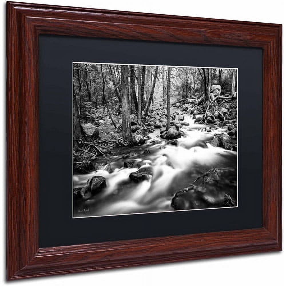 Trademark Fine Art "Yosemite National Park - California-I" Canvas Art by David Ayash, Black Matte, Wood Frame