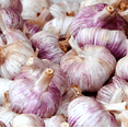 thumbnail image 4 of 8 Bulbs Purple Italian Garlic for Planting, Heirloom Garlic Bulbs for Planting Home Vegetable Garden, 4 of 6