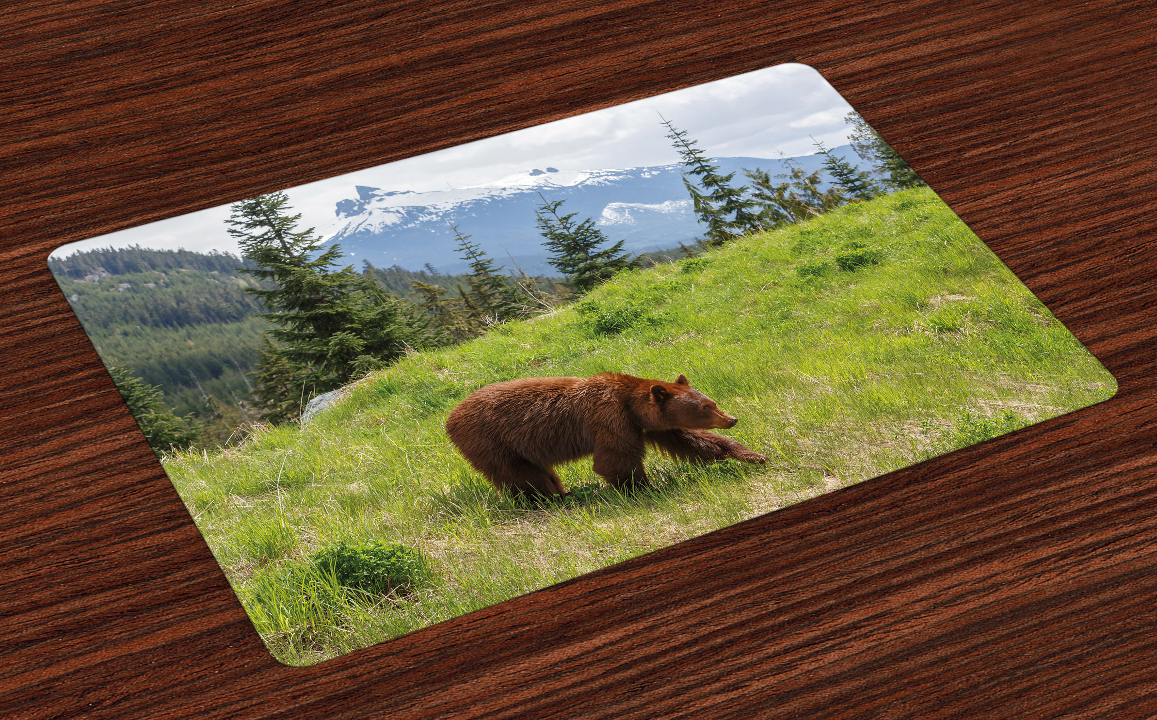 Bear Placemats Set of 4 Wildlife up in the Mountains Theme Furry Animal Carnivore Yellowstone
