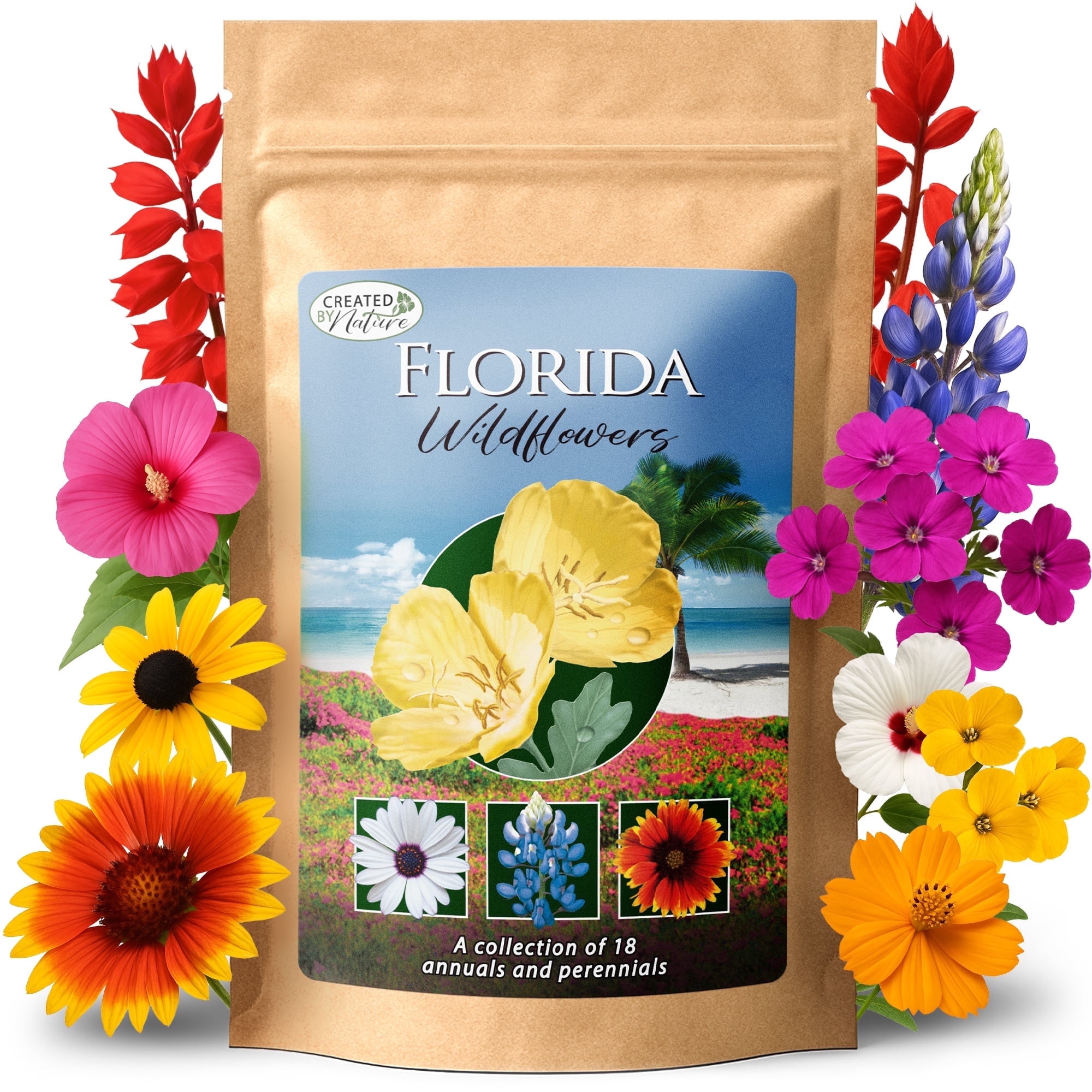 nc wildflower seeds North Central Grown All Perennial Wildflower Seed Mix 1/4 Pound (125,000+ Seeds)