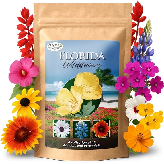 Florida Wildflower Seed Mix, 18 Flower Varieties, 35,000 Seeds - Created By Nature