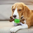 thumbnail image 5 of PPgejGEK Chew Toy for Aggressive Chewers Medium Large Dogs - Splinter-Free Natural Wood Green Bone, 5 of 9