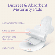 Lansinoh Postpartum Maxi Pads Bundle, Heavy Absorbency Overnight Pads 40 Count